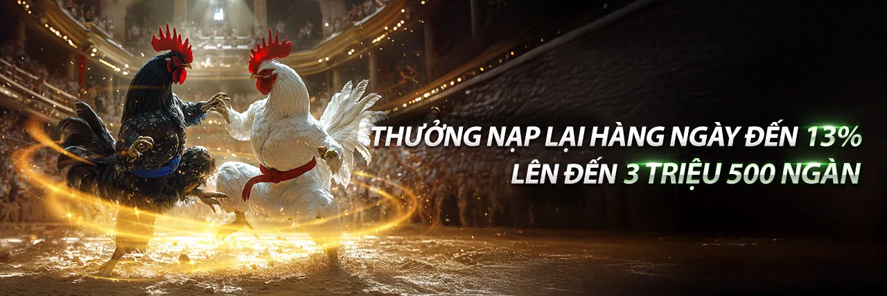 Đá gà trực tuyến pg99 - Sân đấu kịch tính
